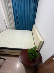 Tiara (D9), Condominium #546414631
